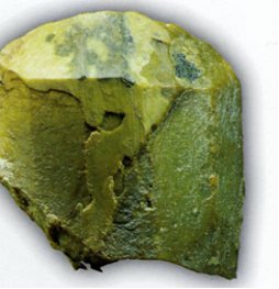 photo antigorite