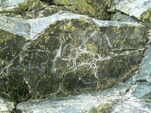 l'aspect peau de serpent
