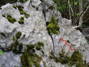 ripple marks