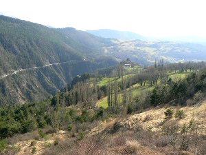 vue gnrale de Cognet