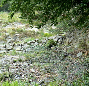 le sentier et un muret de pierres sches