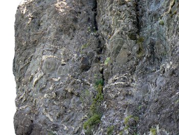 le mur de spilite