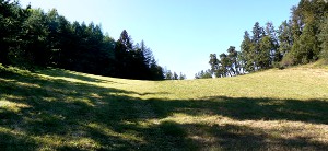 la prairie du paradis