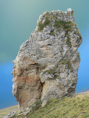forme de tte