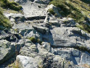 amphibolites