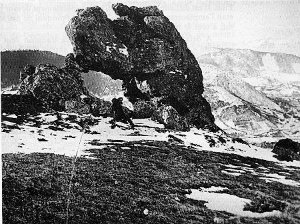 ancienne photo 1900 ?