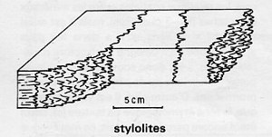 stylolites, un schma du dictionnaire gologique